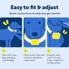 PetSafe 100 Yard Remote Training Collar – Smaller Version for Small or Medium Dogs – Choose from Tone, Vibration, or 15 Levels of Static Stimulation – Short Range Option for Training Off Leash Dogs