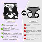 BEAUTYZOO Small Dog Harness and Leash Set, Cow Print Step in Dog Harness No Pull No Choke Puppy Harness Reflective for XXS XS S Dogs Cats, Soft Padded Mesh Vest Harnesses Girl and Boy Pets