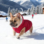 Fleece Hoodie for Dogs - Windproof Waterproof Coat, Winter Warm Jacket, Cold Weather Pet Apparel Clothes Vest for Small Medium Large Dogs (XS, Red)