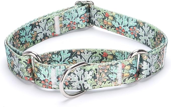 Martingale Dog Collars - Flower Multicolor Cute Patterns, Adjustable Nylon Training Dog Collar Suitable for Boy and Girl Dogs Medium Large Dogs (M, Green)