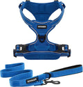 Voyager Dog Harness Dual Leash Attachment No-Pull Control Adjustable Soft but Strong Pet Harness for Medium and Large Dogs with 3M Reflective Technology, Leash Set Royal Nylon, M (Chest: 20-25")