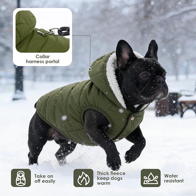 Fleece Hoodie, Windproof Waterproof Coat, Winter Warm Jacket, Cold Weather Pet Apparel Clothes Vest for Small Medium Large Dogs (XL, Green)