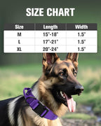 Joytale Tactical Dog Collar with Handle and Metal Buckle, Heavy Duty Padded Military Collar with 2 Patches for Training, Adjustable for XLarge Dogs, Purple, XL