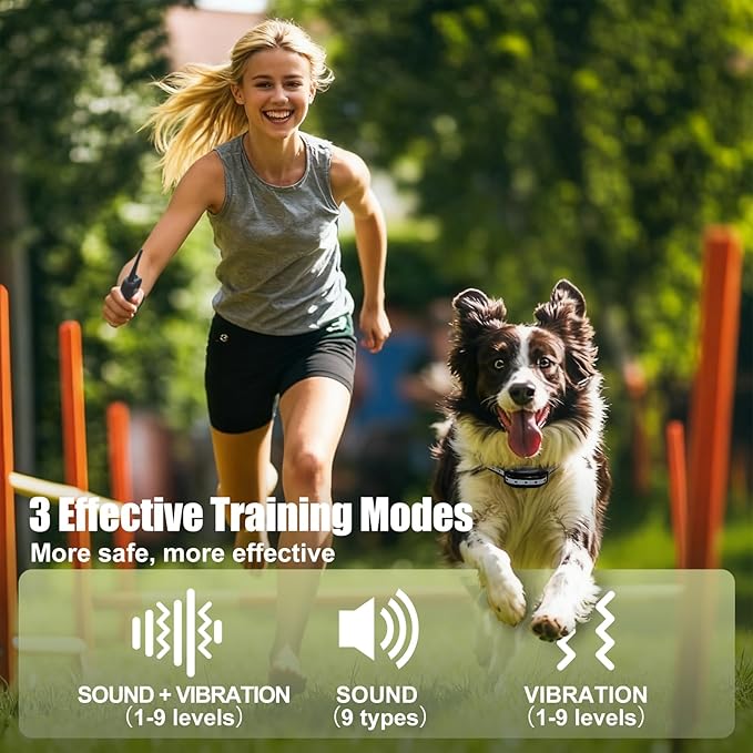PERPETUAL Dog Vibration Collar with Remote, No Shock & No Prongs - 3300FT Waterproof Rechargeable Training Collar with Beep/Vibrate Modes & Security Lock, Fits Dogs 5-120 lbs