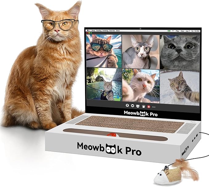 Cat Scratcher Laptop Cat Toy with 'Mouse' Jingle Ball, Stickers, 3-in-1 Cardboard Cat Interactive Toy, Kitten Cardboard Scratching Pad