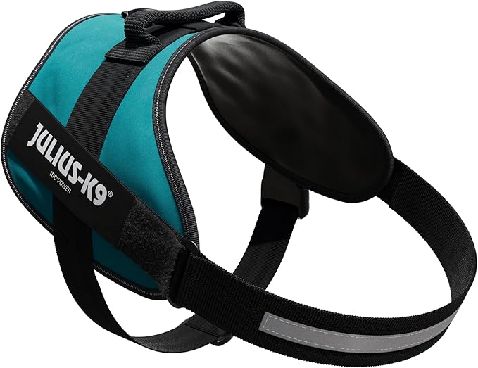 Julius-K9, 16IDC-PG-4, IDC Powerharness, Dog Harness, Size: 4, Petrol Green