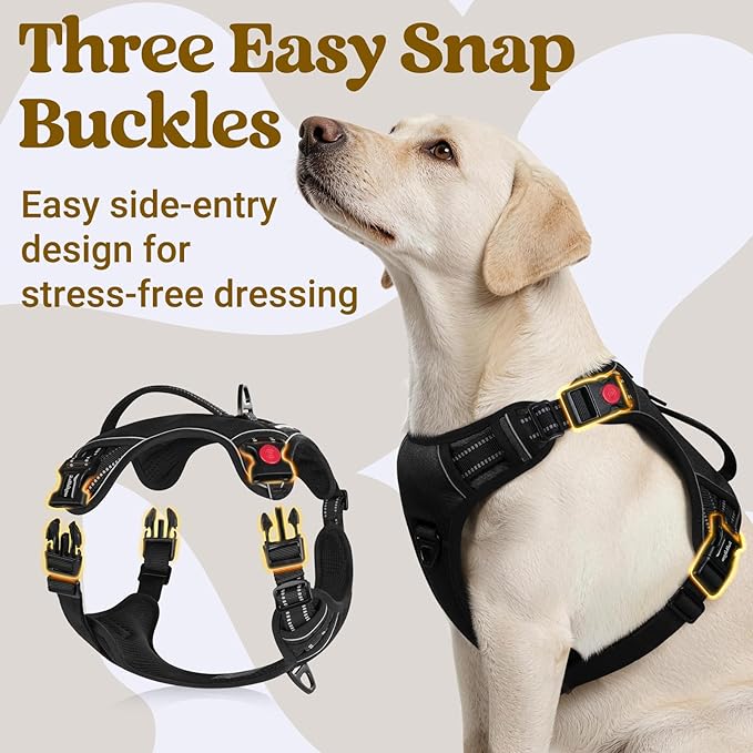 rabbitgoo Dog Harness for Large Dogs, No Pull Pet Harness with Soft Padded Handle, Adjustable Reflective Vest with 3 Buckles, Easy Walking Harness with 2 Leash Clips, Black, L