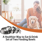 2Packs Stainless Steel Dog Bowl with Anti-Skid Rubber Base for Small/Medium/Large Pet, Perfect Dish, Pets Feeder Bowl and Water Bowl Perfect Choice for Dog Puppy Cat and Kitten (26oz)