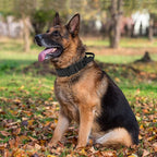 Tactical Dog Collar with Handle - Military Adjustable Dog Training Collar Soft Nylon and Heavy Duty Metal Buckle for Medium Large Dogs - with Patch (Black, Large)