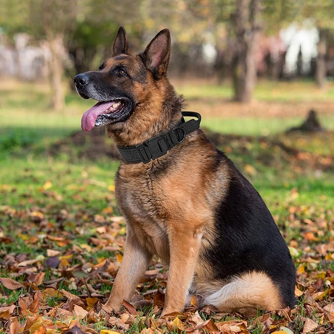 Tactical Dog Collar with Handle - Military Adjustable Dog Training Collar Soft Nylon and Heavy Duty Metal Buckle for Medium Large Dogs - with Patch (Black, Medium)