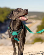 Joytale No Pull Dog Harness for Small Dogs, Reflective Pet Vest with Front Clip, Adjustable Soft Padded Harnesses with Easy Control Handle for Training and Walking, Teal, S