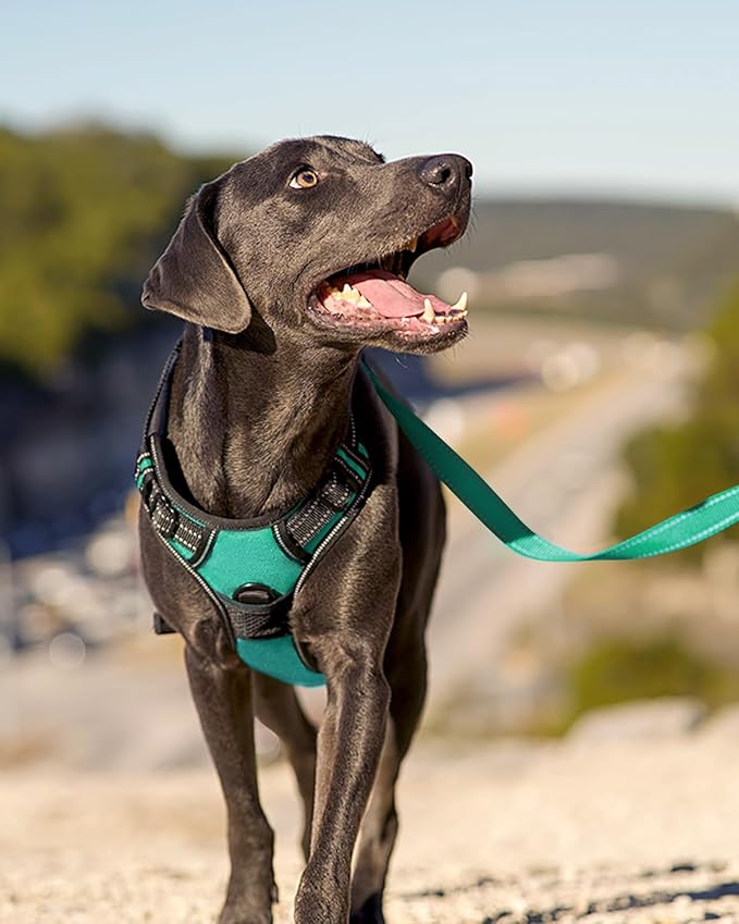 Joytale No Pull Dog Harness Medium Sized Dog, Reflective Pet Vest with Front Clip, Adjustable Soft Padded Harnesses with Easy Control Handle for Training and Walking, Teal, M