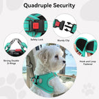 Joytale Small Dog Harness, Breathable Mesh Step-in Vest, Reflective Soft Padded Harnesses for Medium Dogs, Teal, XL