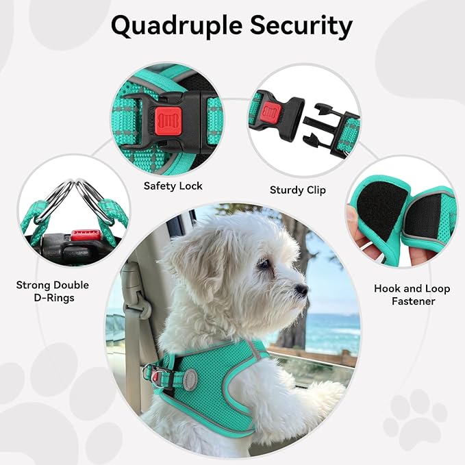 Joytale Small Dog Harness, Breathable Mesh Step-in Vest, Reflective Soft Padded Harnesses for Cats and Puppies Dogs, Teal, XXXS