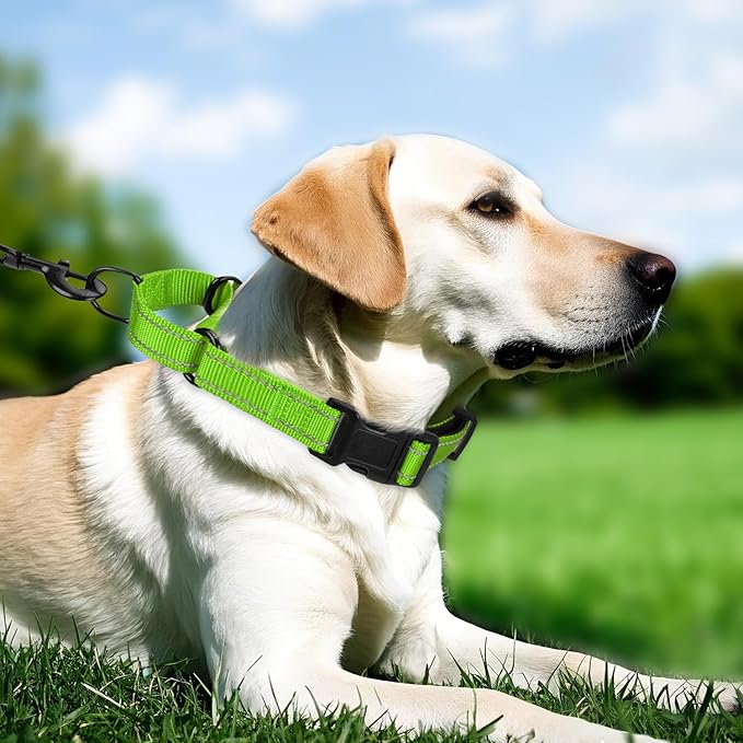 Martingale Collar for Dogs with Quick Release Buckle, Reflective Soft Padded & Escape Proof, Adjustable Nylon Dog Collars for Training & Daily Walking (Green,M)