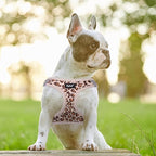 PUPTECK Dog Harness and Leash Set for Small Medium Dogs No Pull Step-in Soft Mesh Puppy Cat Vest Harnesses Reflective at Night, Brown Leopard Print, L