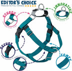 2 Hounds Design Freedom No Pull Dog Harness, Adjustable Harness and Leash Set, Easy Walking & Comfortable Control, Fits Small, Medium & Large Dogs, Solid Colors, Made in USA, 1" LG, Teal