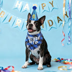 SCENEREAL Dog Birthday Party Supplies, Dog Birthday Bandana Hat Bow Tie Collar Set with Birthday Numbers, Pet Birthday Scarf Accessories Outfit Decorations for Boy Girl Medium Large Dogs