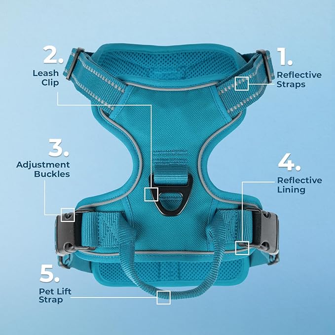 Voyager Dog Harness Dual Leash Attachment No-Pull Control Adjustable Soft but Strong Pet Harness for Medium and Large Dogs with 3M Reflective Technology, Turquoise Nylon, XL (Chest: 28-37")