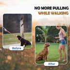 Dog Chain Collar Metal Martingale Anti Chew Training Collars Chew Proof, Chrome Plated, Double Link for Small Dogs (Suitable for Pet's Neck 12.5-15'')
