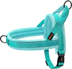 Didog Soft Flannel Padded Dog Vest Harness, No Pull/Quick Fit Reflective Dog Strap Harness, Easy for Training Walking (M:Chest 22-26", Green)