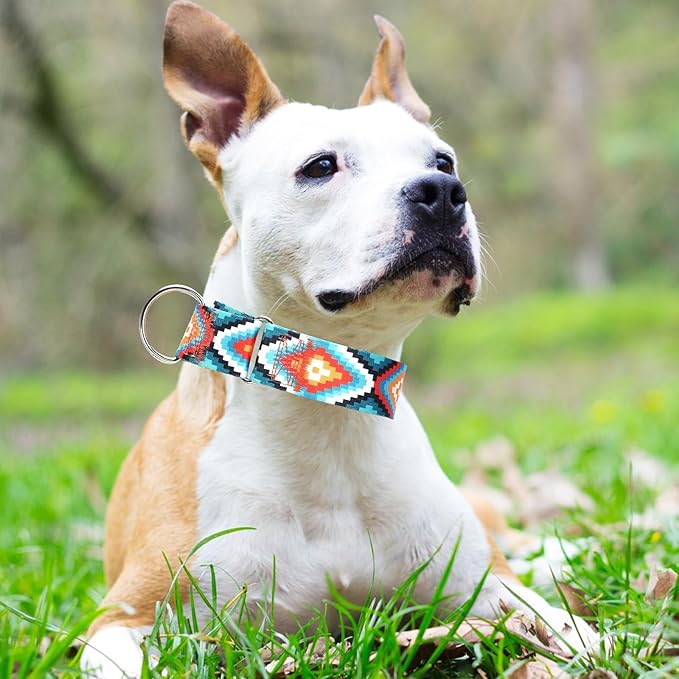 Wide Martingale Collar for Dogs - Dog Training Big& Thick Dog Collar - Escape-Proof,Durable and Comfortable- Tribal Large
