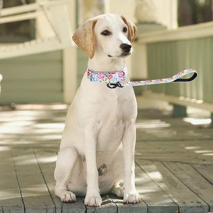 Martingale Collar and Leash Set, Premium No Slip Martingale Collar for Dogs Medium Large, Girl Dog Collars Training (NO22, L)