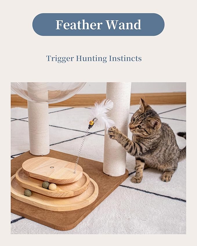 Modern Cat Tree for Large Cats, Modern Cat Tree Tower with Wide Shelves Cotton Scratching Posts, Super Sturdy Base, Cozy Perches, and Interactive Toys for Indoor Kittens 31-Inch