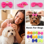 Dog Hair Bows Puppy Hair Bows Small Mini Rubber Bands Pet Grooming Accessories 60pcs (30 Pairs)