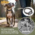 Mayerzon Martingale No Pull Collar for Medium Large Dogs German Shepherd Doberman Pitbull, Patented Anti Pull Correction Dog Collar for Walking Training, Reflective, Adjustable, Hidden(L, Black)