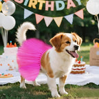 2 Pcs Dog Tutu Dress with Pearl Crown for Small Medium Pet Cat Dog Halloween Costume Dress for Ballet Birthday Party Wedding Photo Prop