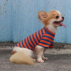 LOPHIPETS 100% Breathable Cotton Striped Dog Tee Shirt T-Shirt for Small Dogs Teacup Chihuahua Yorkie Puppy Clothes -Orange and Blue Strips/S
