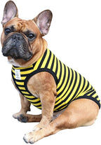 iChoue Pug 100% Breathable Cotton Striped T Shirts Halloween Vest Clothes for Medium Dogs Tank Tops Puppy French Bulldog Frenchie English Boston Terrier Pitbull Yellow Black Stripes - Small