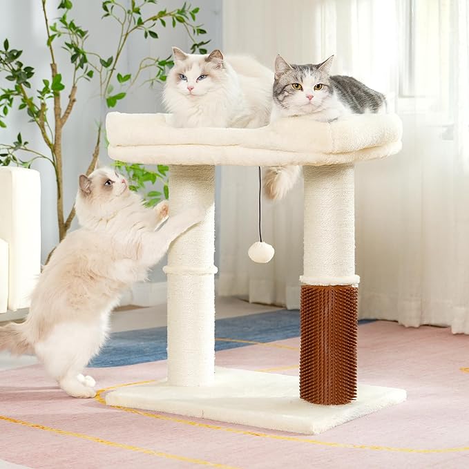 Flower Cat Tree with Large Hammock & Large Cat Scratching Post with Big Perch Double The Fun, Double The Comfort