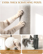 Bundle-2 Items:Maine Coon Cat Tree+Small Cat Tree