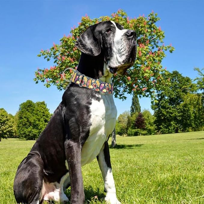Martingale Dog Collar 1.5 Inch Wide - Heavy Duty Adjustable No-Pull Training Collar for Medium/Large Dogs, Cashew Flower Design Durable Nylon Collar (XL)