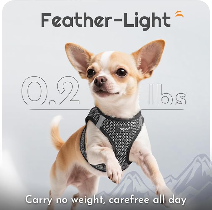 Eagloo Small Dog Harness and Leash Set, Step in Puppy Vest with Breathable Soft Mesh, Walking Reflective Pet Harness for Small Dogs, Gray, XS