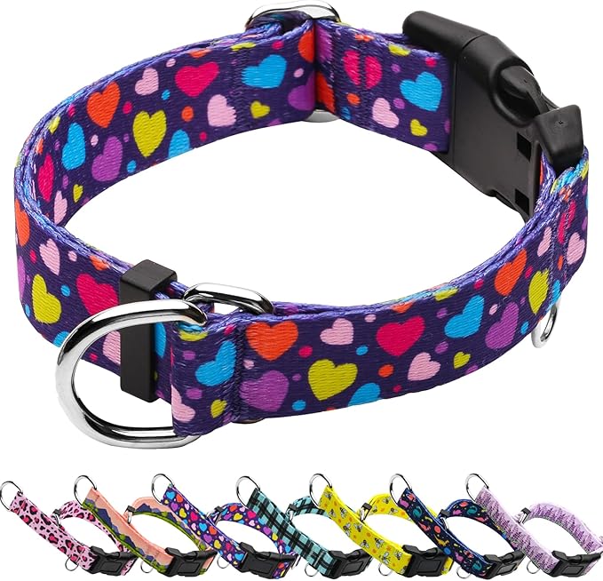 Valentines Martingale Collar for Dogs with Buckle No Pull Adjustable Nylon Limited Slip Training Dog Collars (Purple Love, Large)
