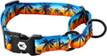 Wolfgang Heavy Duty Martingale Dog Collar with Quick Release Nylon Buckle for Walking & Training, SunsetPalms Print, Large