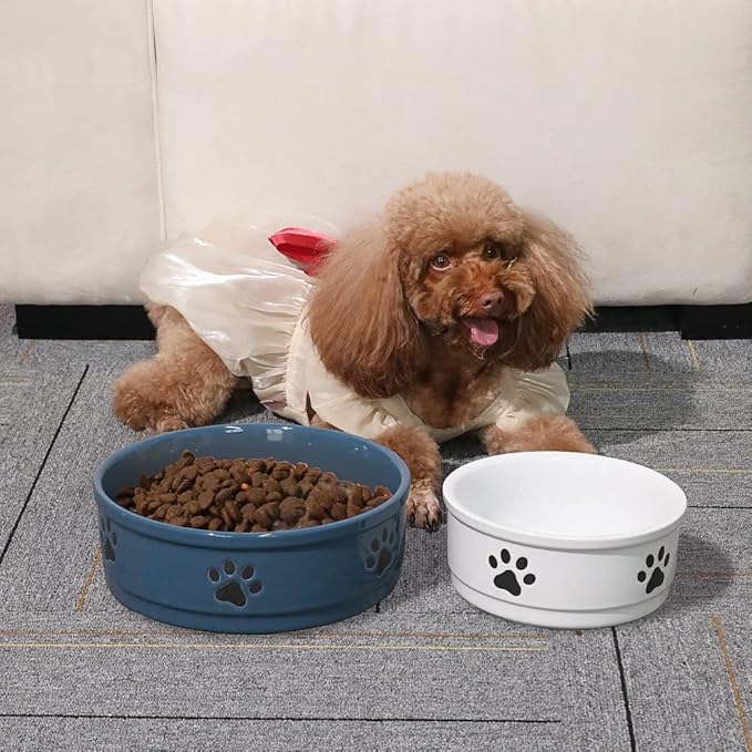 Sweejar Ceramic Dog Bowls with Paw Pattern, Dog Food Dish for Small Dogs, Porcelain Pet Bowl for Water 16 Fl Oz (White)