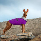Lelepet Warm Dog Winter Coats for Medium Dogs Waterproof Dog Jacket Reflective Pet Fleece Vest Windproof Cold Weather Coats with Adjustable Buckle & Leash Hole, Purple, M