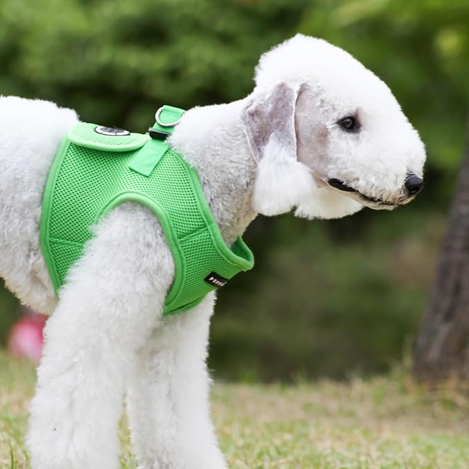 PUPPIA International Harness Soft B Vest, Small, Green
