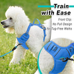 BARKBAY Dog Harness No Pull Mesh for Small Dogs - Adjustable, Reflective, Comfortable, No Choke, Heavy-Duty - Perfect for Outdoor Training, Walking, and Hiking - Strong & Durable - XS & Blue Mesh