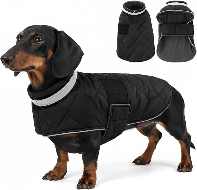 KAMA BRIDAL Dog Winter Coat Warm Padded Puppy Jacket Windproof Water Resistant Clothes for Small Medium Large Pets Christmas Sweater Outfit Vest(Black, S)