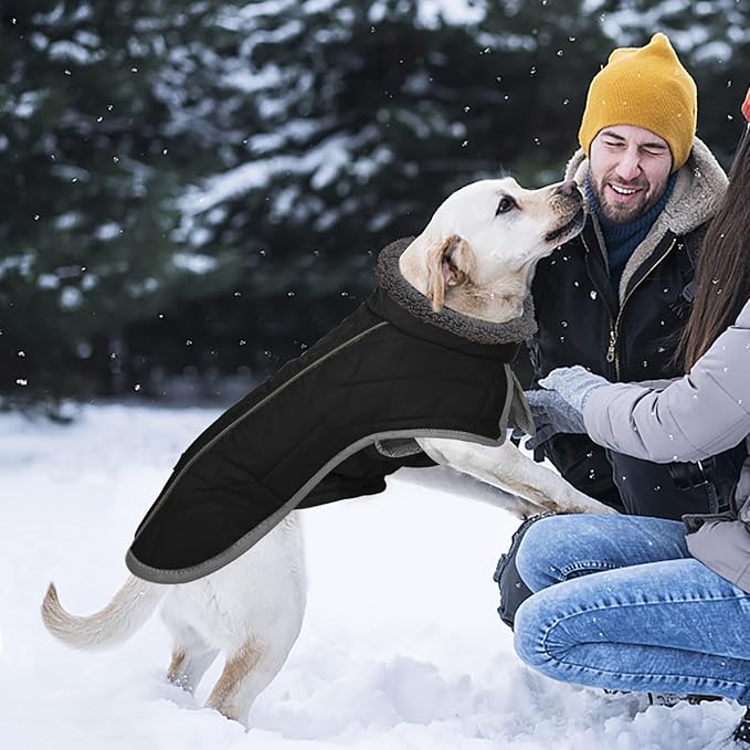 Fragralley Dog Coat Large, Waterproof Dog Jacket with Warm Fleece Lining, Adjustable Reflective Dogs Winter Coat, Turtleneck Pet Coats for Cold Weather (Black L)