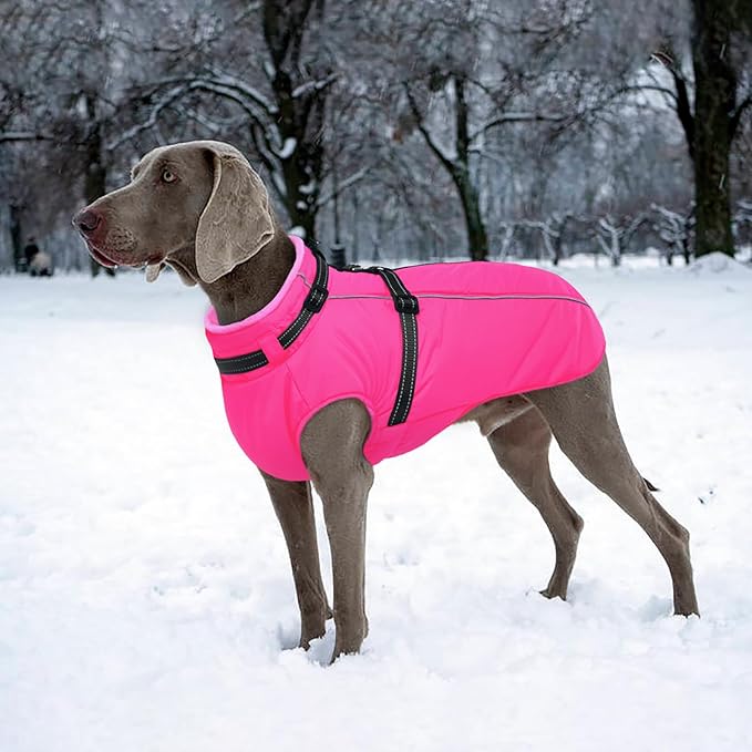 Lelepet Dog Winter Coat Waterproof Dog Jacket with Harness Built in Windproof Reflective Pet Coats for Small Medium Large Dogs, Thermal Fleece Lined Coats for Cold Weather Walking Hiking, Pug, M