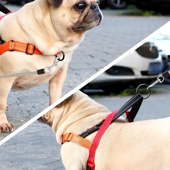 Didog No Pull Dog Harness with Soft Padded Handle, Quick Fit & Lightweight Adjustable Vest Harness, Easy for Training Walking for Small & Medium and Large Dogs(Red,S)