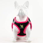 EcoBark Step in Dog Harness Reflective Soft Ultra Padded Mesh Dog Harnesses for XXS, XS, Small, and Medium Dogs Eco-Friendly Comfort Secure Halter No Pull Adjustable Pet Vest