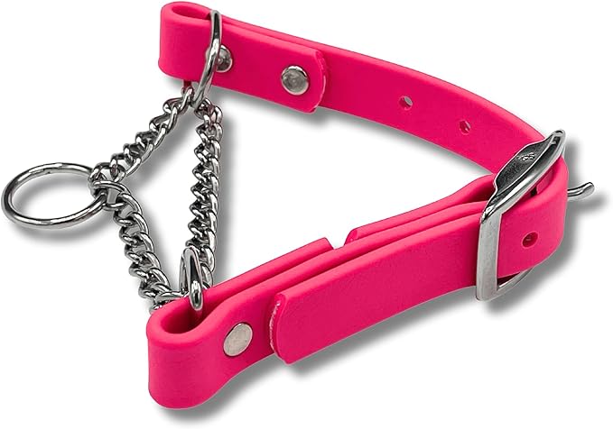 Martingale Collar for Dogs, Biothane, Stainless Steel Hardware, No Pull, Made in The USA, Professional Grade, XXS, Pink