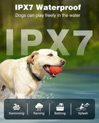 Dog Shock Collar for Small Medium Large Dogs - 3300FT IPX7 Waterproof Dog Training Collar with Remote, Rechargeable Electric Collar for Dog Training, 4 Training Modes, Fashlight, Adjustable Strap